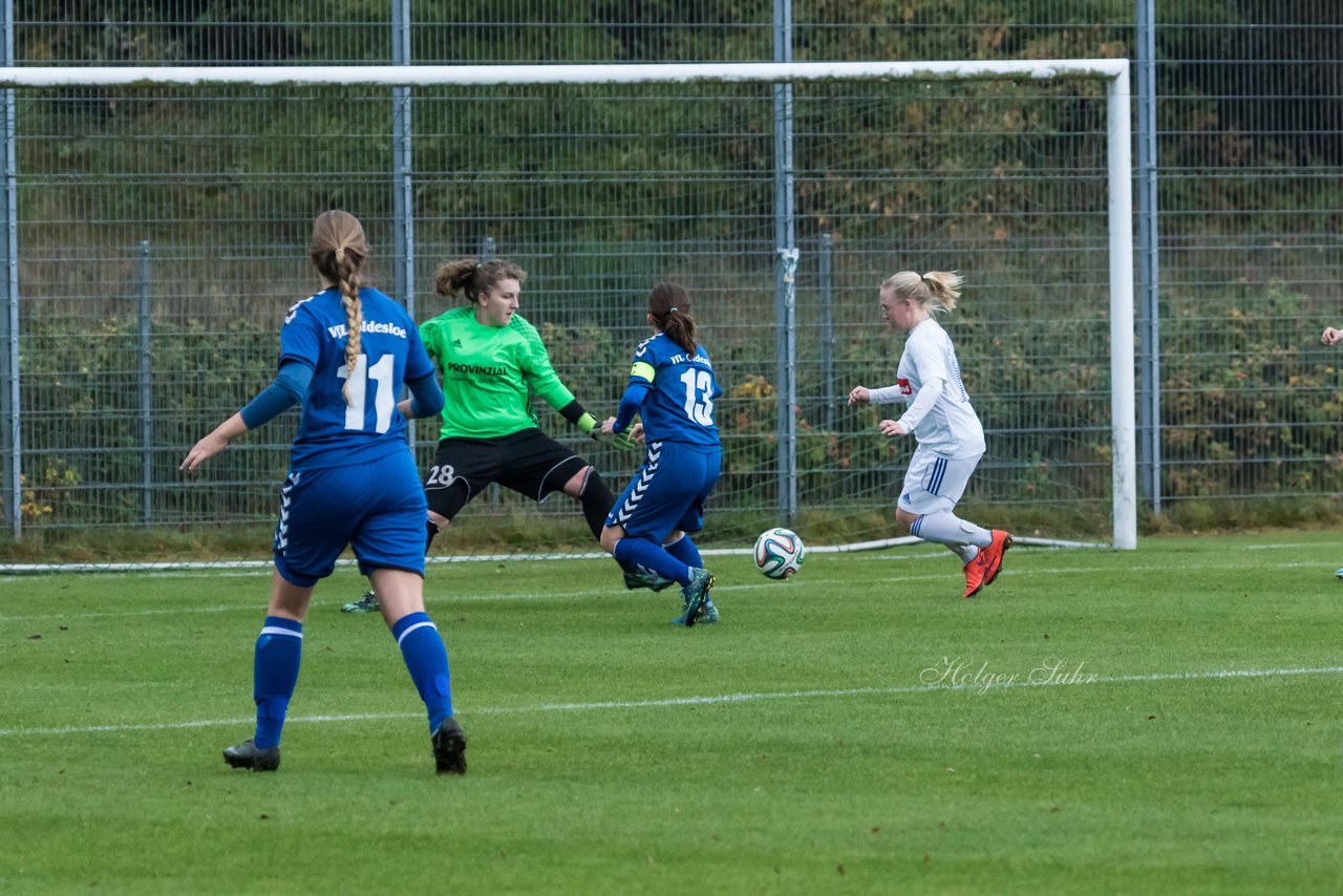 Bild 195 - Frauen FSC Kaltenkirchen - VfL Oldesloe : Ergebnis: 1:2